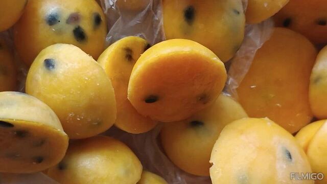 Video_20230510163833507_by_filmigo.mp4