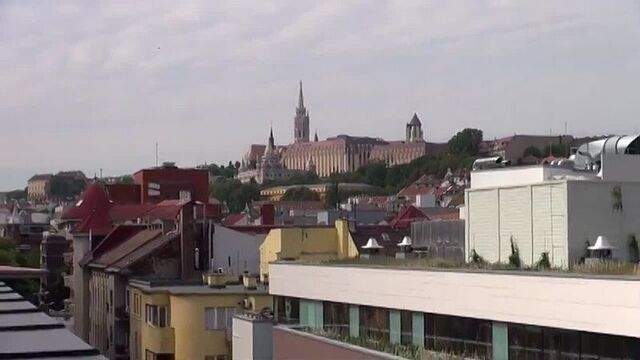 Candy love - wunf 77 (trailer)