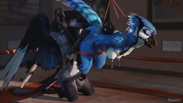 3d yiff by ruaidri furry porn sex e621 female avian bondage bdsm