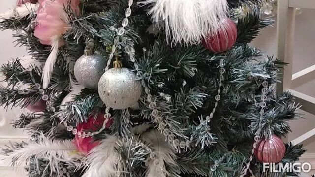 Video_20221107143522936_by_filmigo.mp4