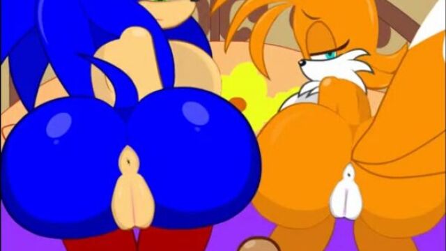 Sonic transformed 2 fun with tails and vanilla