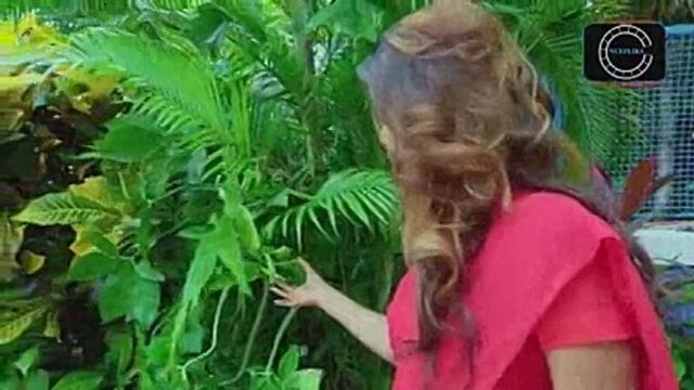 Sex_web_series_indian_watch_more_at_bit.ly_18plusxxx_.mp4