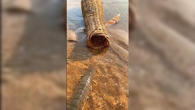 Y2mate.mx-ocean, 4k aquarium video ultra hd, stress relief, marine species, best lobster videos.mp4