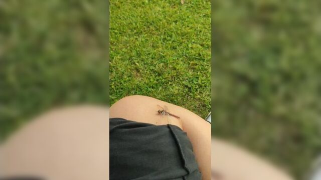 Video by next level elena nikolaeva