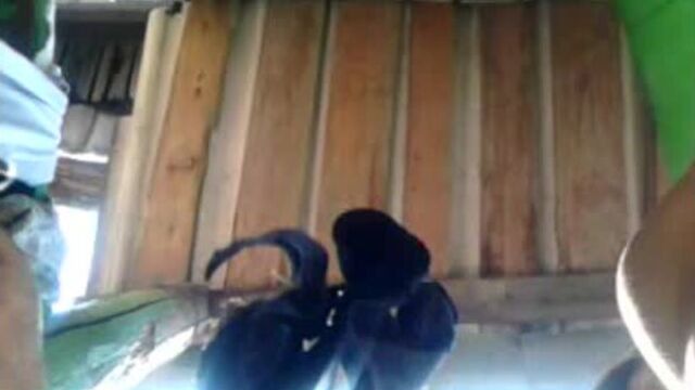 Сиски писки и трусы..3gp