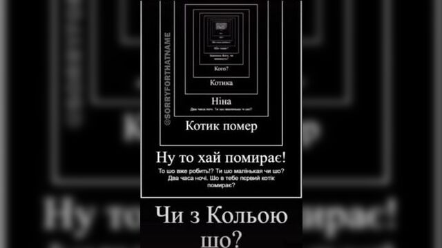 Котик помер