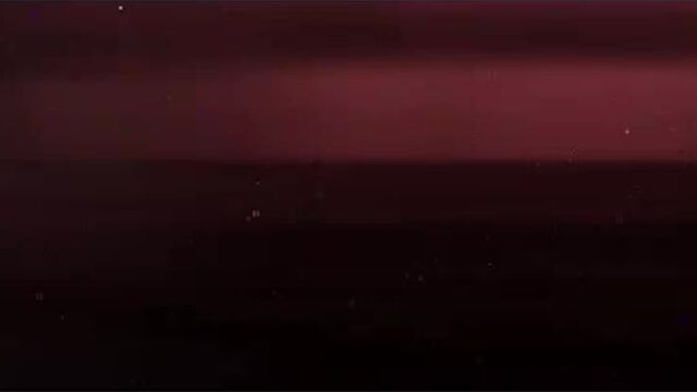 Chuya nakahara | amv | чуя накахара