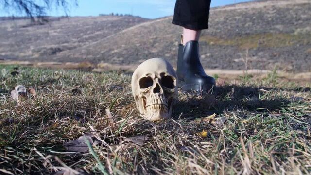 [scammers] cпортики: как они пытают закладчиков