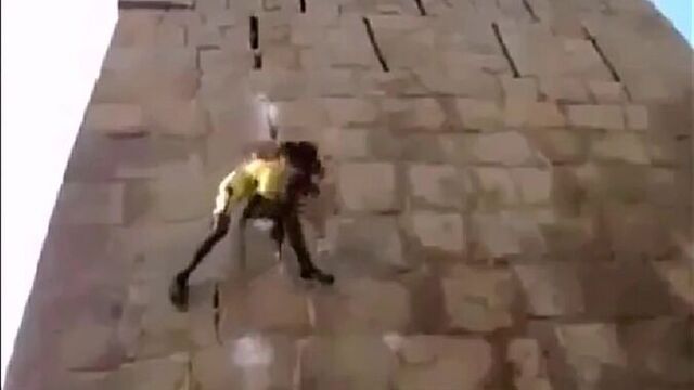 Человек-паук, или паук-обезьяна?