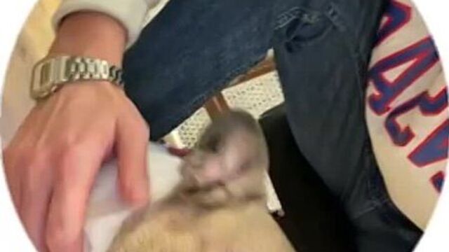 Ту мач комфорт [ tg @shastoonchannel ]