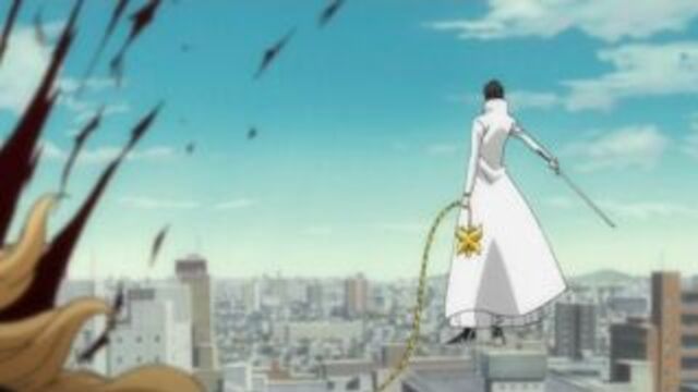 Bleach / блич [293 of xxx]