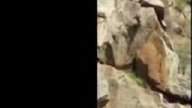 Прыжок со скалы (жесть 18+) ==кормушка уникальное фото видео приколы гифки ==