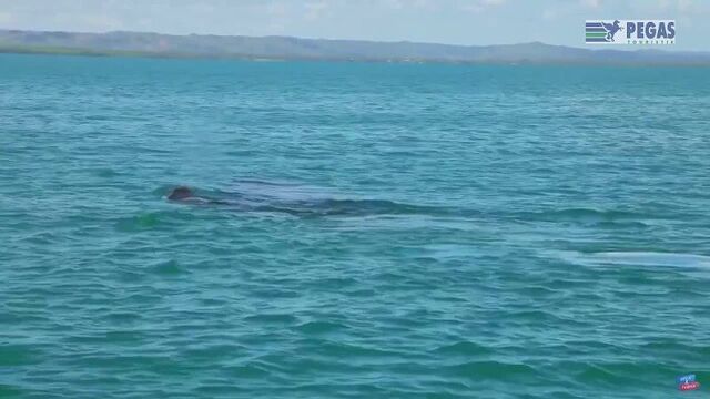 Video by турагентство pegas touristik в кунгуре