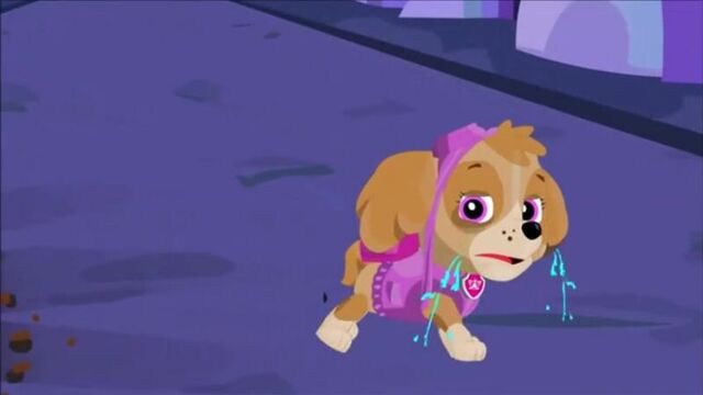 Пиздячий патруль и другие приключения райдера новые серии щенячий патруль на свалке нет скакалки райдер готов трахать котов