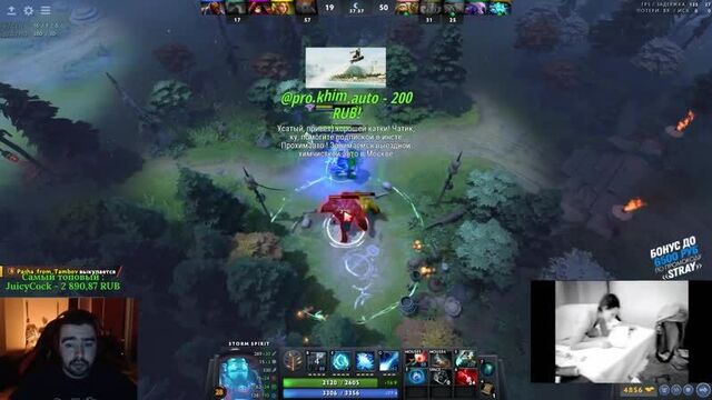 Осуждаю stray [stray228]