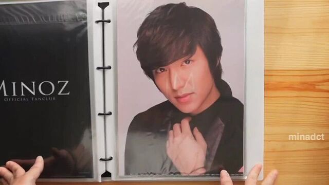 Сокровища японских миноз / cr: minadct ig