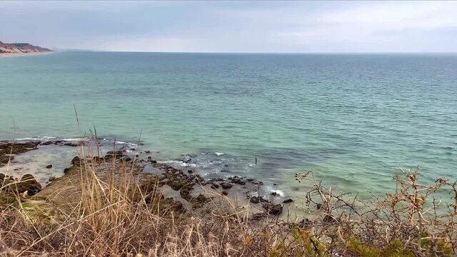 [та самая саша] обзор влогов | вредина лайф