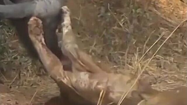 Удивительный мир