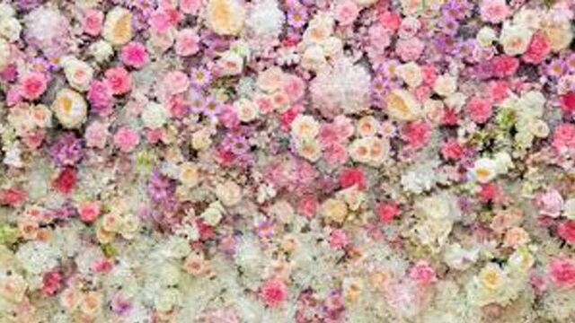 Старый извращенец устроился физруком в школе и подглядывает скотина старая