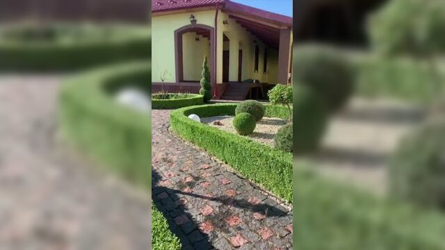 Video by дача 2024