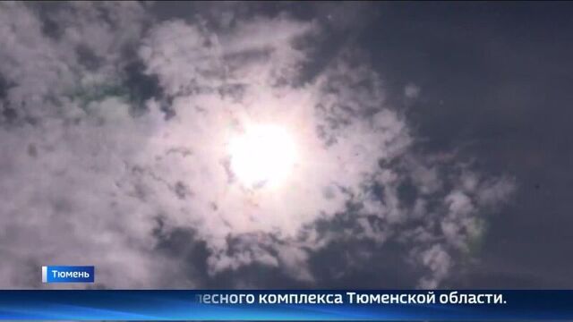 В тюмени ночью стоял запах гари и дымка