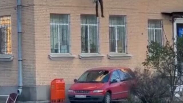 Побег из овд с батареей — москва 24