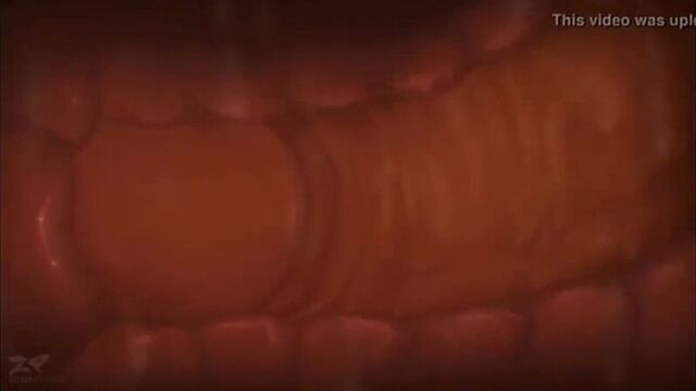 Анальный секс изнутри video by group gays xxx