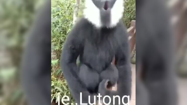 Когда заехал в длинный тоннель