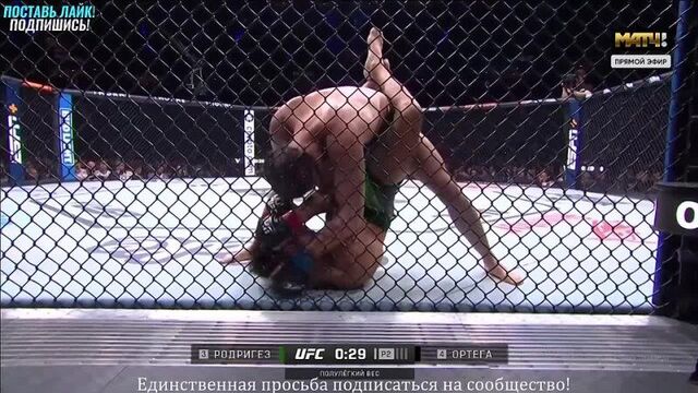 Яир родригес vs брайан ортега - полный бой (720p).mp4