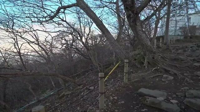 [rosoero] назад в развитии! [назад нельзя] [обзор] [студия феникс] [фёдор комикс] [тараканбикс]