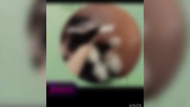 Живодерка из краснодара, устраивающая публичные опросы про казнь животных, душит кота на камеру и морит хомяков голодом