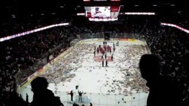 23 000 плюшевых медведей