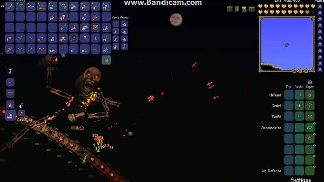 Террария, боссы, +100500, порно, кошки, приколы, киска, училка, nomiley cyrus - wrecking ball