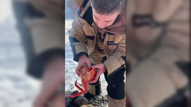 Икряной краб , стандартный пикник жителя владивостока на мне костюм higashi winter air.mp4