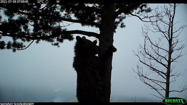 Video by 7 канал красноярск