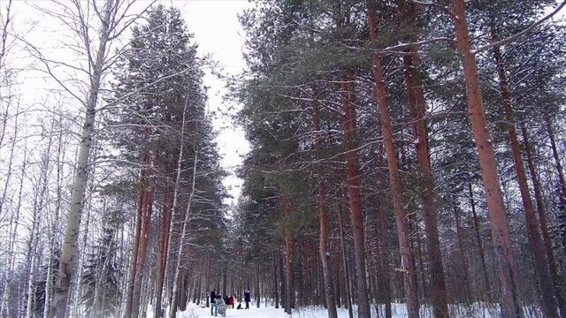 Видео от подслушано ухта