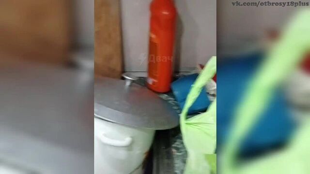 Кринж тик-ток - куколд поясняет