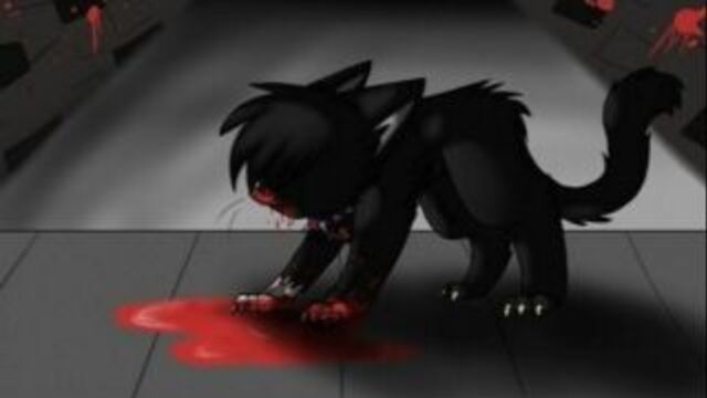 Коты воители-бич