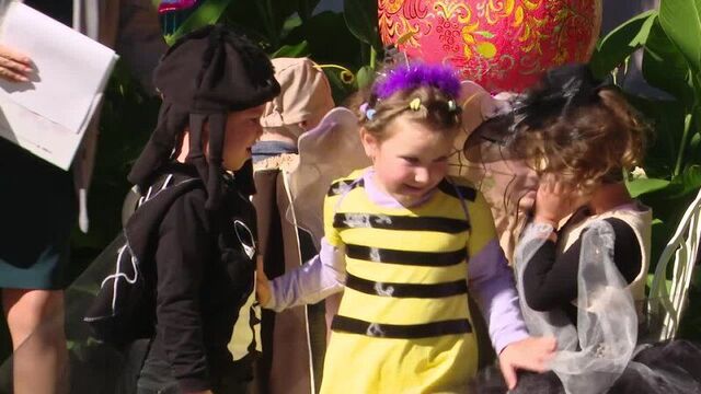 Ферма для насекомых и сад на штамбах // мичуринское телевидение