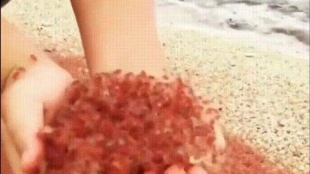 Крабики с острова пасхи