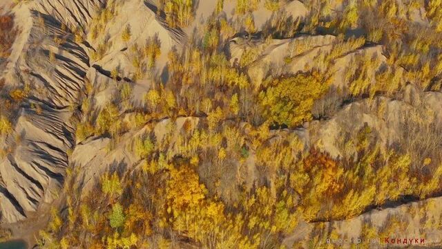 Video by подслушано ефремов