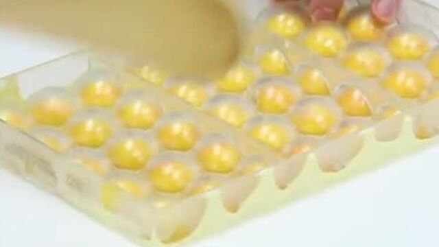 Форма поликарбонатная для конфет «полусфера». магазин «синьор антонио петти волгоград»