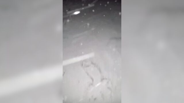 Я нарисую на снегу хуй, положенный на вас всех (для вп на случай важных переговоров vp)