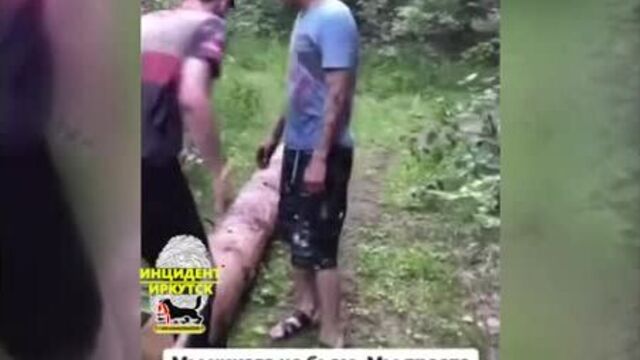 В железногорск-илимском любителей соли заставили заняться спортом