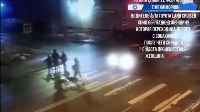Мужчина сбил женщину с собаками на пешеходном переходе и скрылся. архангельск, 22.02.20