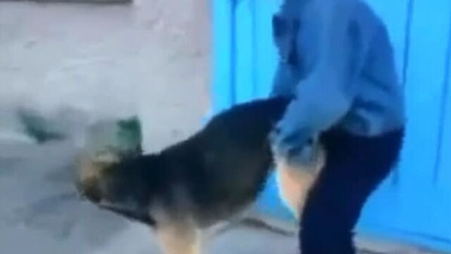 Симпл димпл нет поп ит