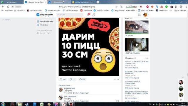 Пицца - синица