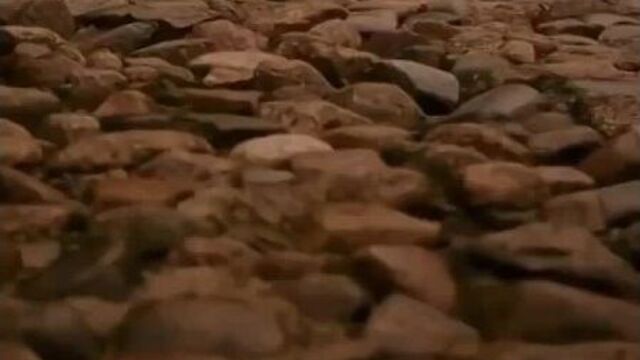 Я видел пьяниц с мудрыми глазами