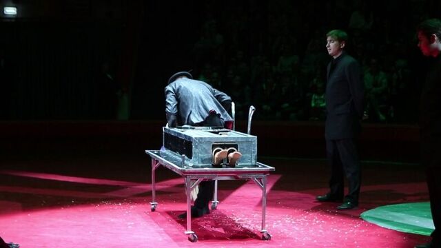 Итальянский цирк "слоны и тигры" ижевск