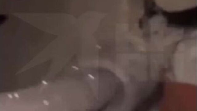 Женщина утонула в проруби в ленобласти